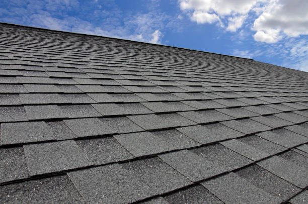 Best Roof Moss and Algae Removal  in Mango, FL