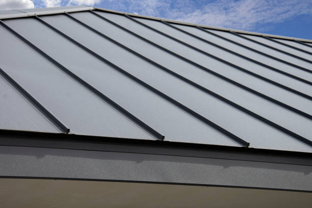 Emergency Roof Repair in Mango, FL